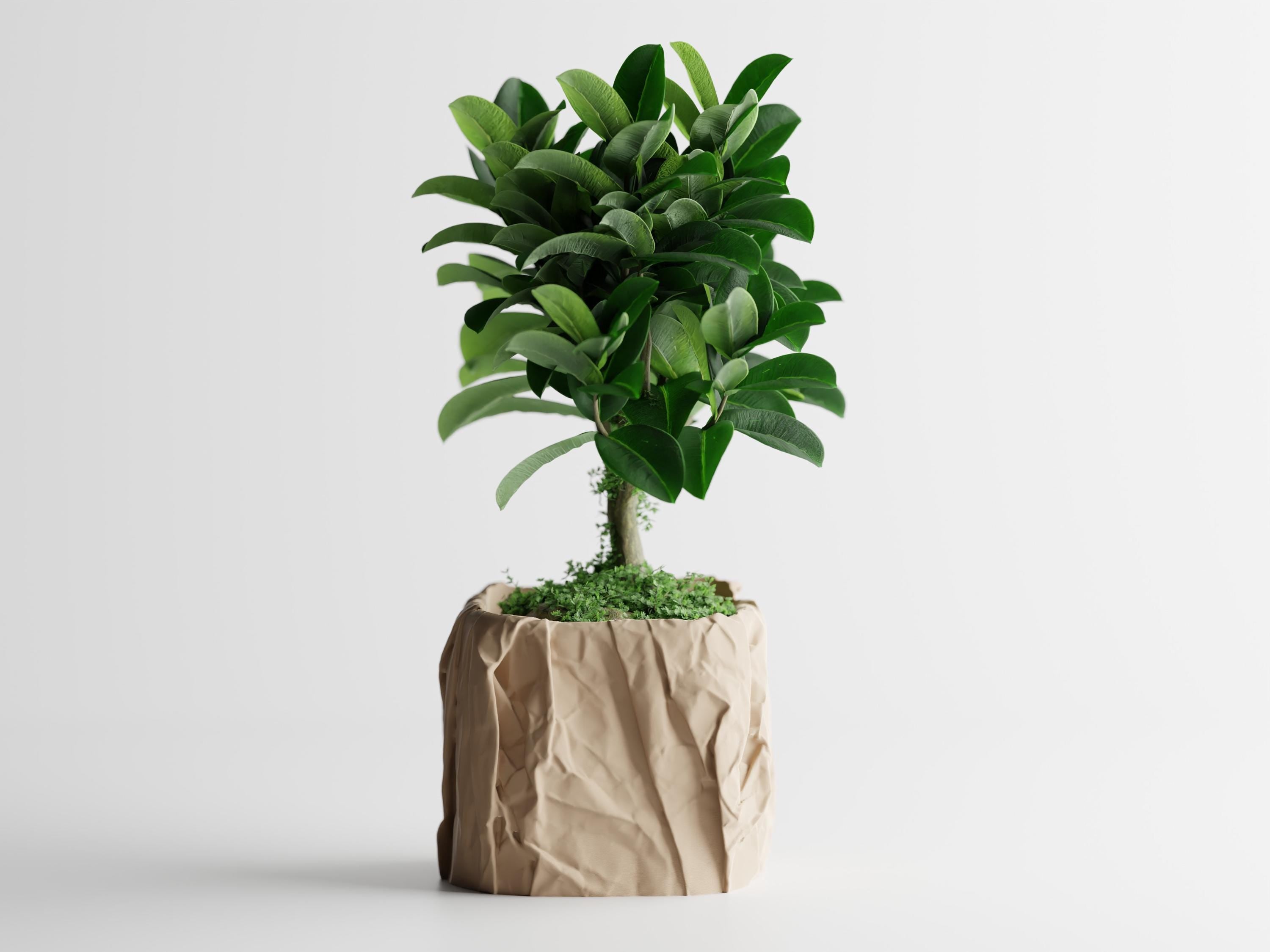 RYCKLAD Modern Planter