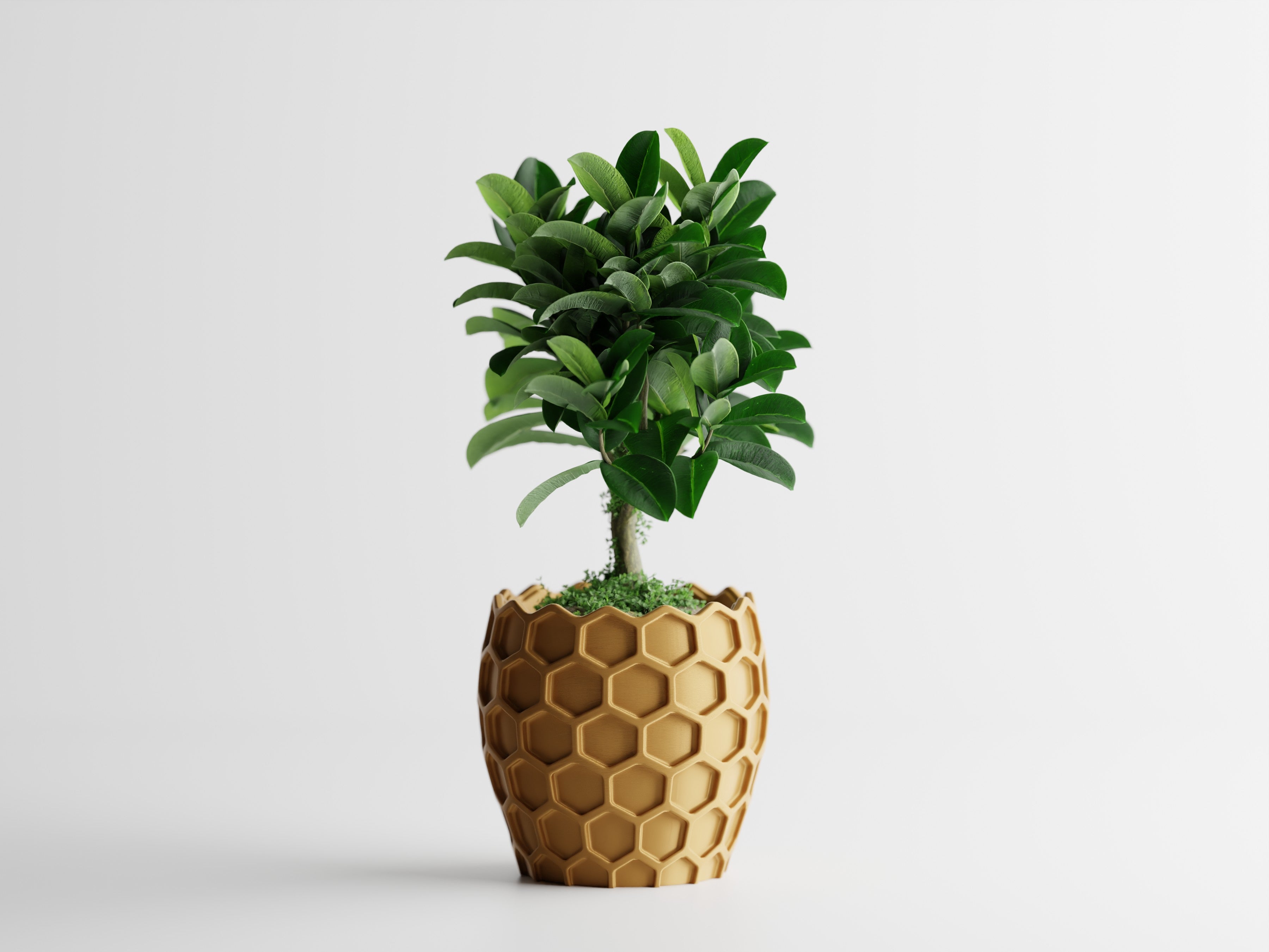 BIKUPA Modern Planter