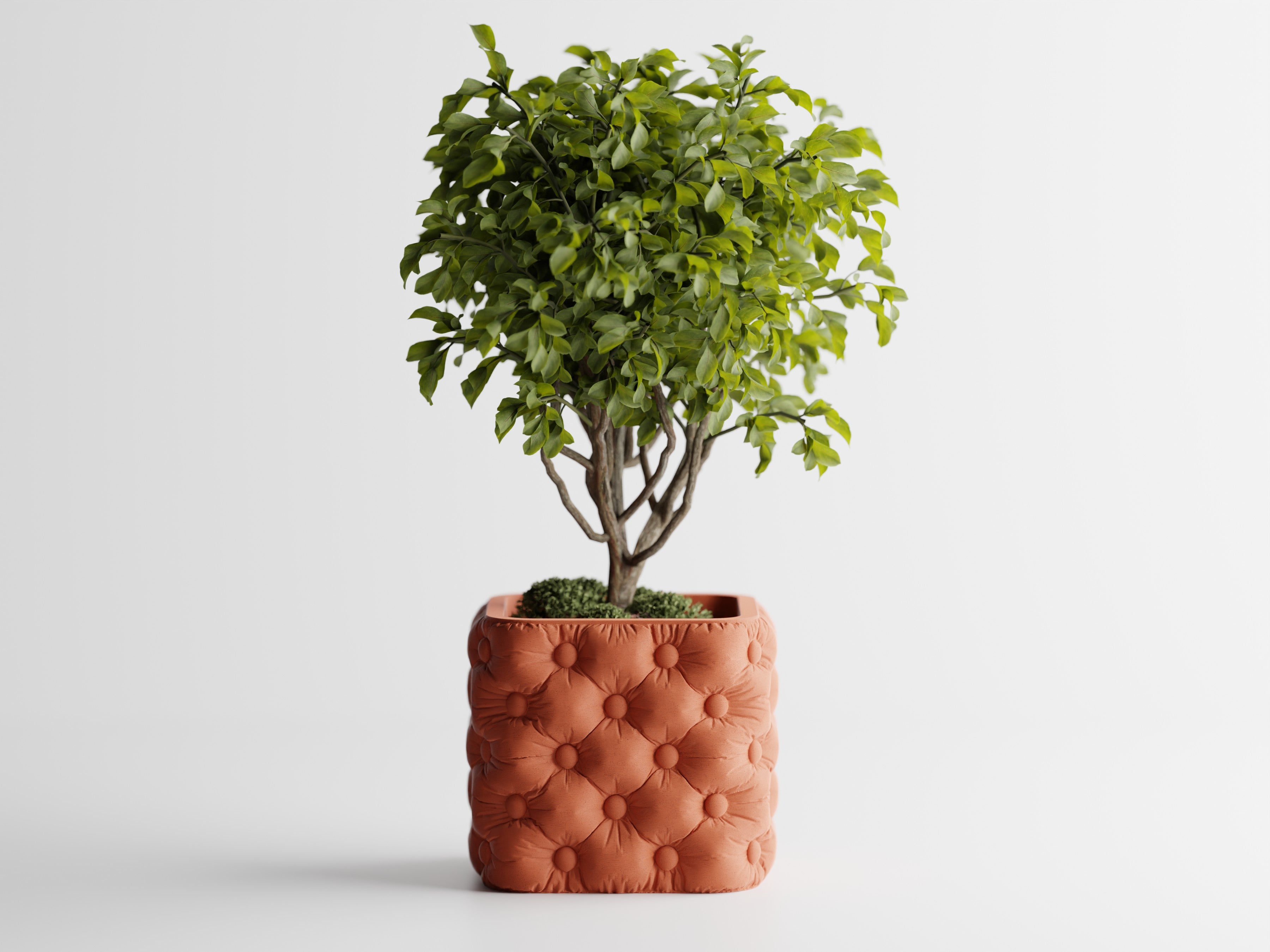 TUFTAD Modern Planter