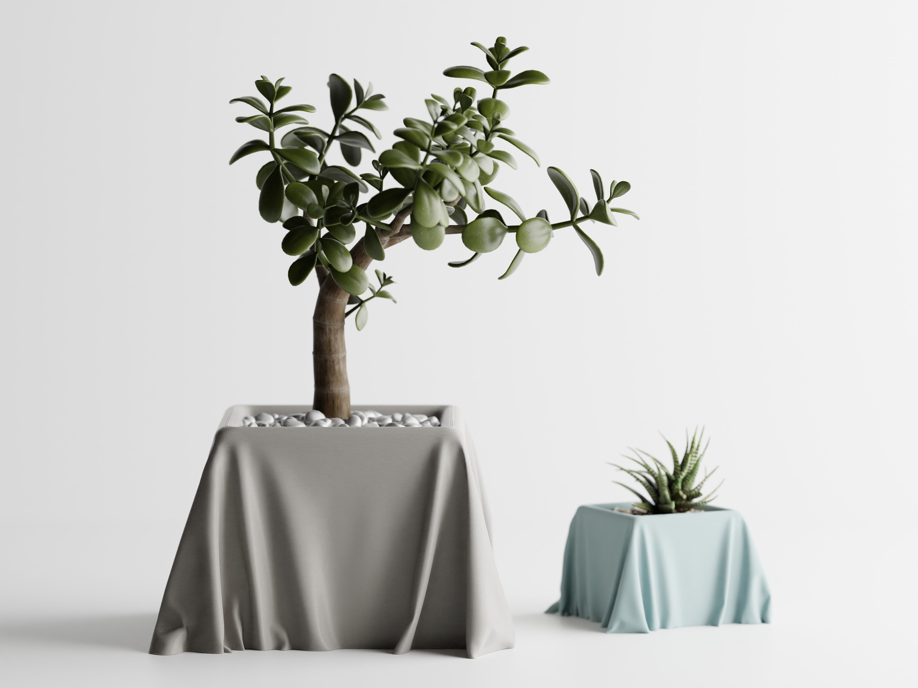 TRASA Modern Planter