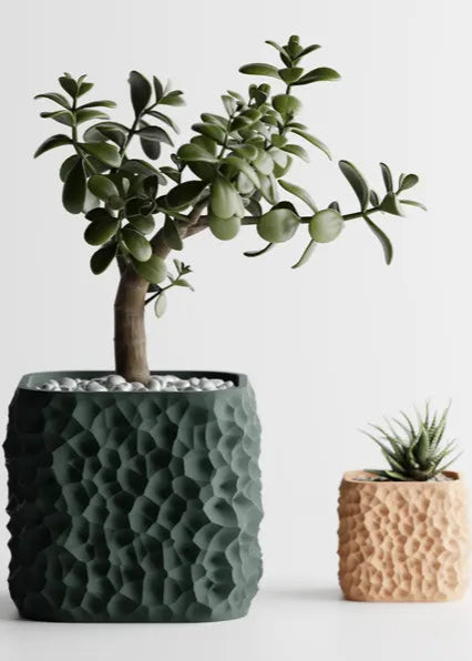FLISOR Modern Planter